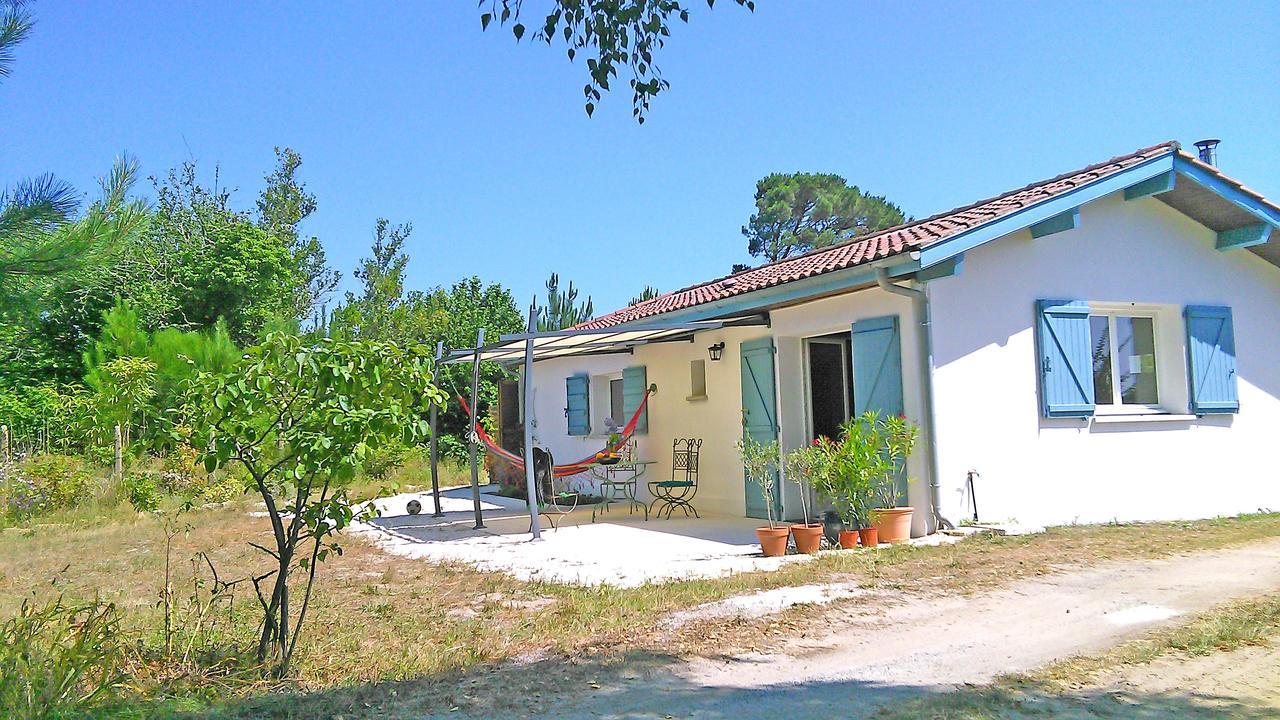 Sauna - Jacuzzi - 100% Prive - L'Estantada Linxe Exterior foto